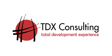 TDX Consulting